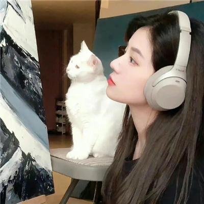 水星领航员 暮色